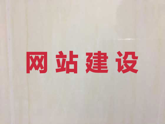 河池专业网站设计建设